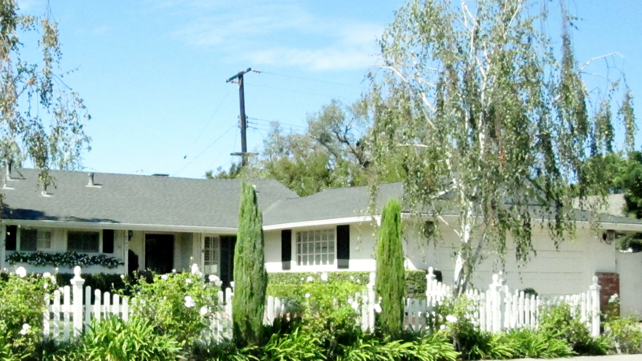A residential street in Costa Mesa